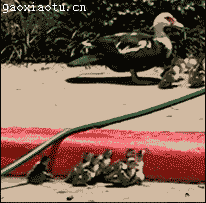 а